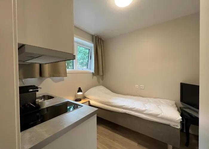 Geirangerbooking