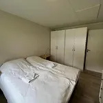 Geirangerbooking